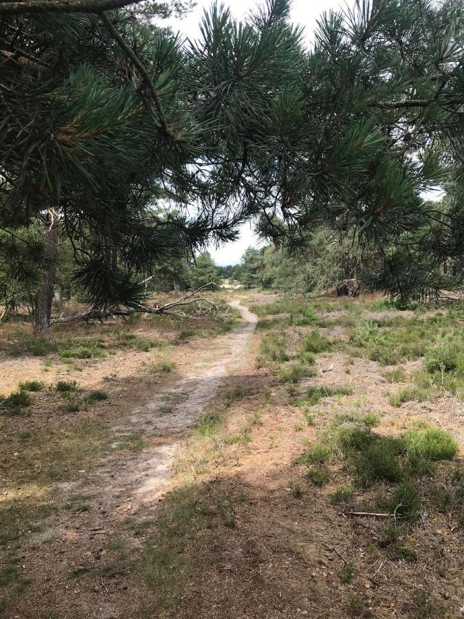 Boshuisje Veluwe Mels Place Doornspijk Buitenkant foto